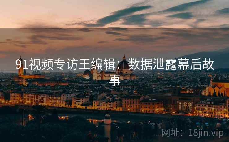 91视频专访王编辑：数据泄露幕后故事