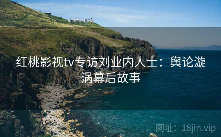 红桃影视tv专访刘业内人士：舆论漩涡幕后故事