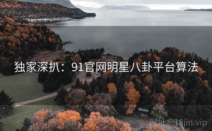 独家深扒：91官网明星八卦平台算法