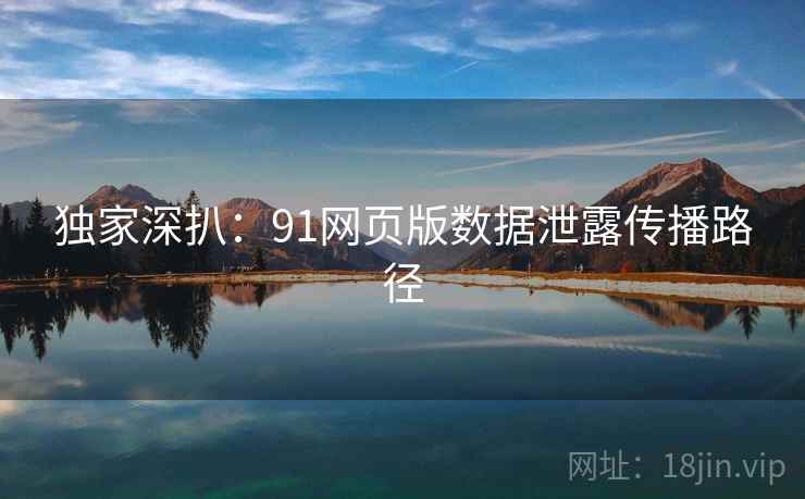 独家深扒：91网页版数据泄露传播路径