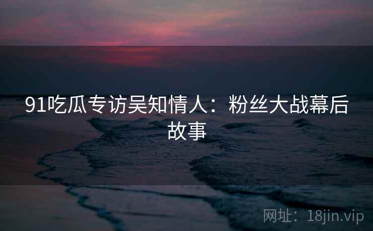 91吃瓜专访吴知情人：粉丝大战幕后故事