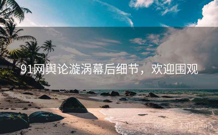 91网舆论漩涡幕后细节，欢迎围观