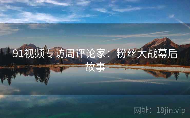 91视频专访周评论家：粉丝大战幕后故事