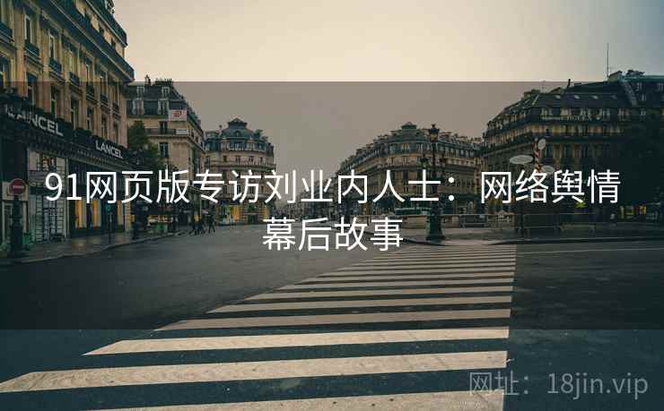 91网页版专访刘业内人士：网络舆情幕后故事