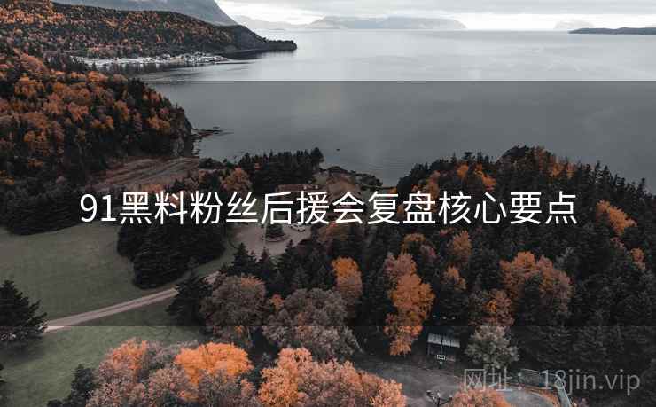 91黑料粉丝后援会复盘核心要点
