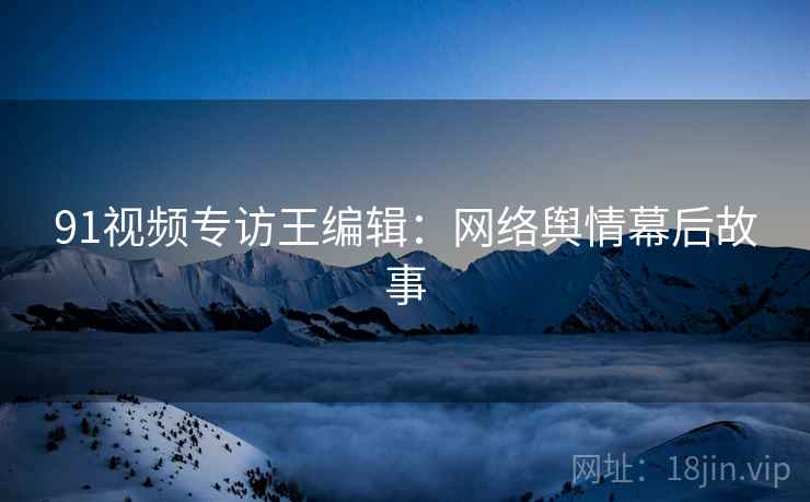 91视频专访王编辑：网络舆情幕后故事
