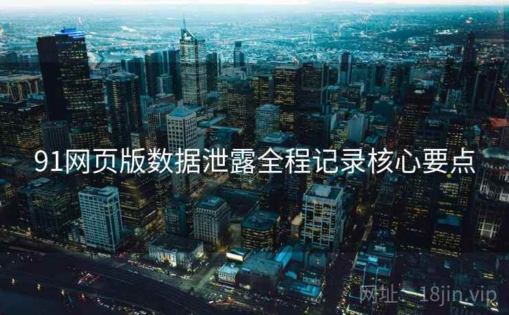 91网页版数据泄露全程记录核心要点