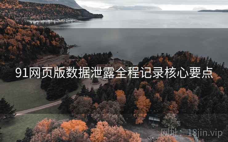 91网页版数据泄露全程记录核心要点