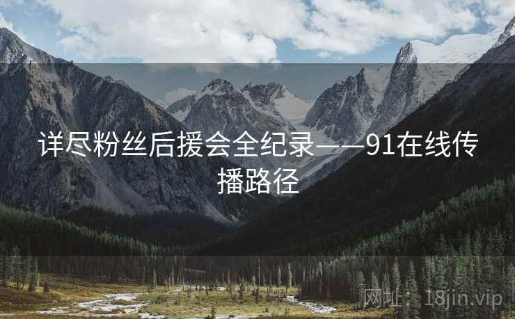 详尽粉丝后援会全纪录——91在线传播路径