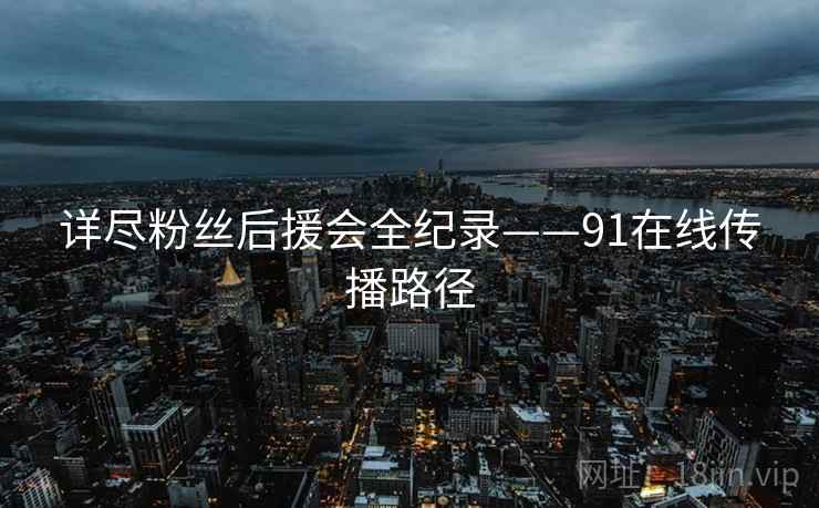 详尽粉丝后援会全纪录——91在线传播路径