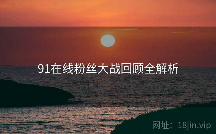 91在线粉丝大战回顾全解析