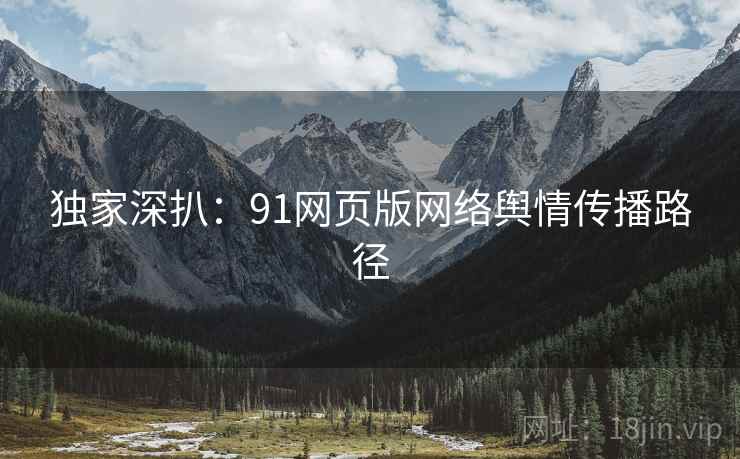 独家深扒：91网页版网络舆情传播路径