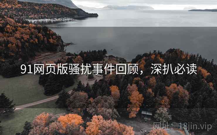 91网页版骚扰事件回顾，深扒必读